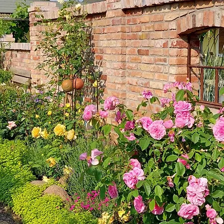 Apartmán Lotte Nuthe-Urstromtal