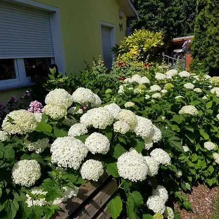 Apartment Lotte Nuthe-Urstromtal